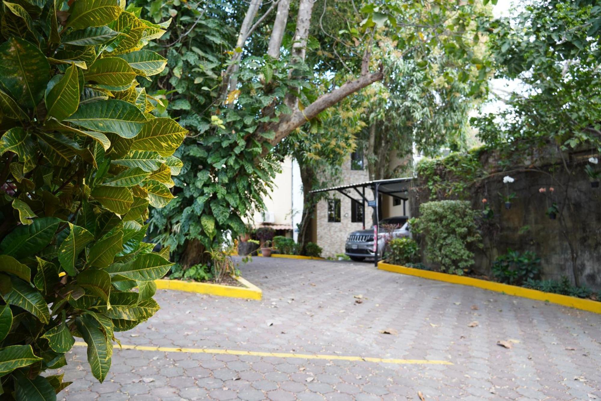 Villa Las Flores 圣萨尔瓦多 外观 照片