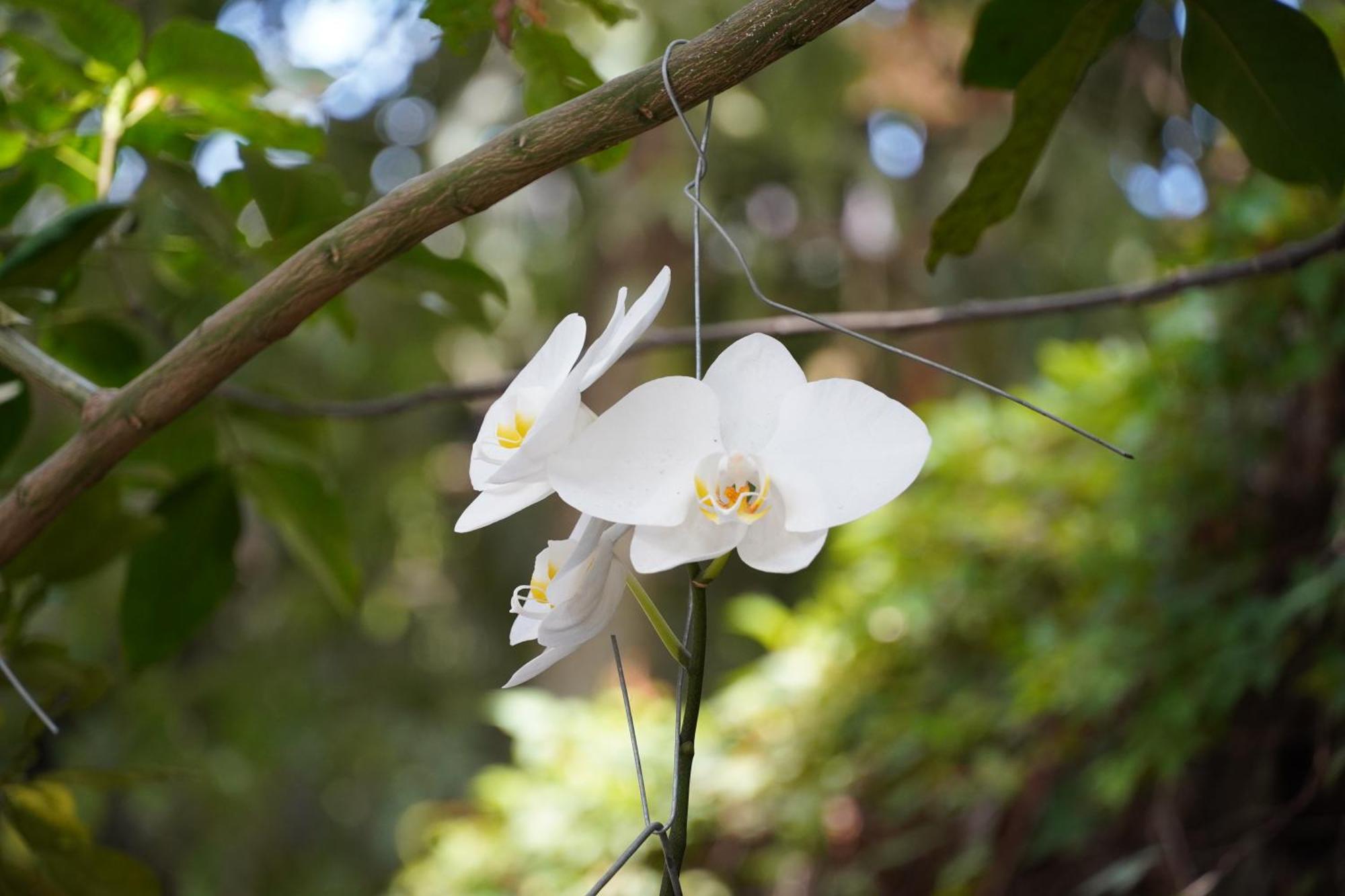 Villa Las Flores 圣萨尔瓦多 外观 照片